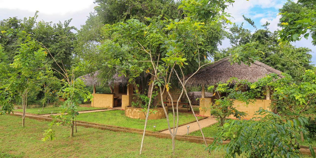Niyagala Lodge Sigirîya
